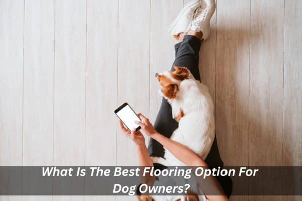 What Is The Best Flooring Option For Dog Owners 600x400 