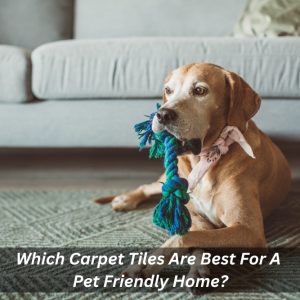 Image presents Which Carpet Tiles Are Best For A Pet Friendly Home
