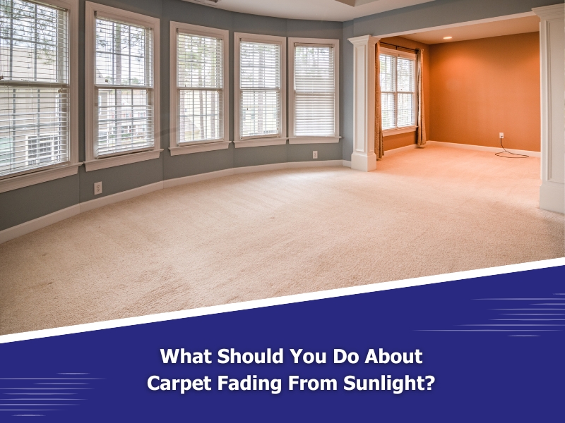 Large room with beige carpet and sunlit windows, demonstrating carpet fading from prolonged sun exposure.