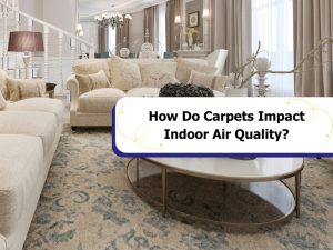 Elegant living room carpet and its impact on indoor air quality by trapping dust and minimizing pollutants.