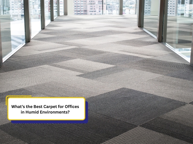 Carpet for Offices in Humid