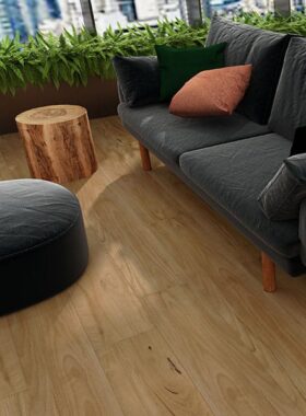 Aqua Blackbutt 2.jpg