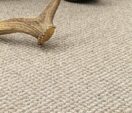 Avenue Carpet 2.jpg
