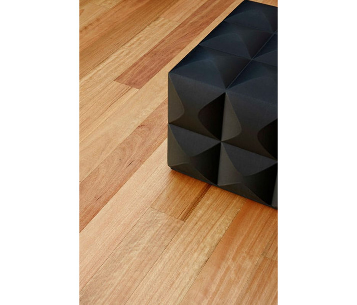 Blackbutt Fiddleback