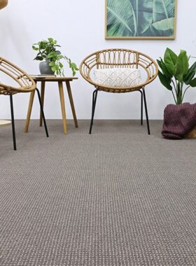 Callisto E1703131259916.jpeg