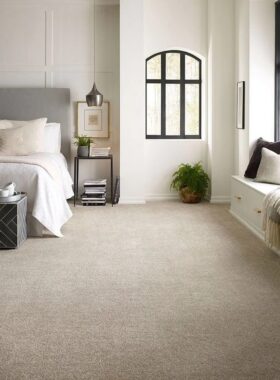 Elegant Reflections 1.jpg