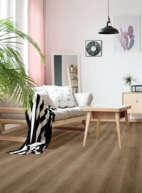 Hinterland Oak Scaled 1.jpeg