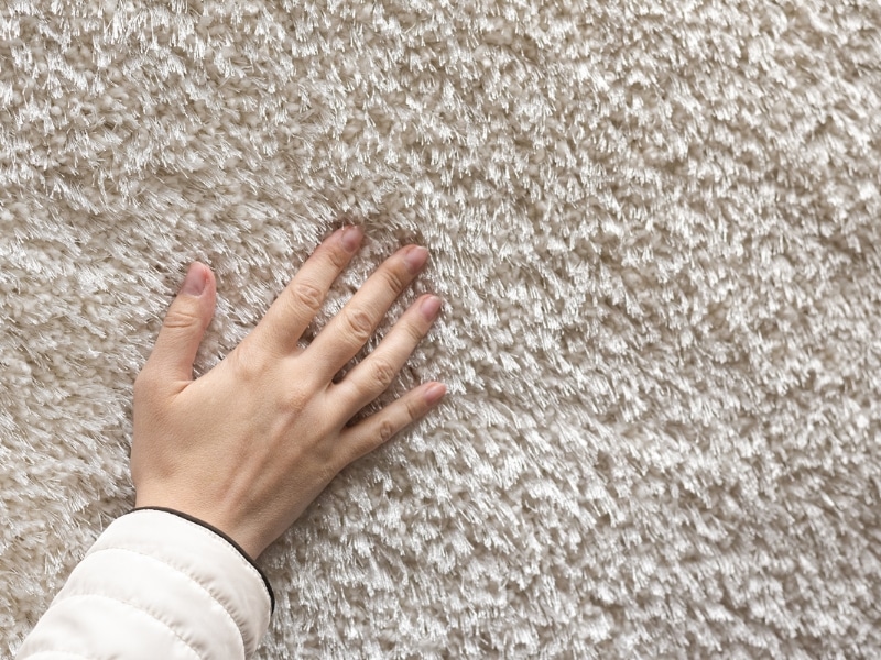 How to Choose the Best Type of Carpet for Your Home?