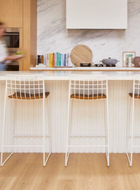 Legacy Scaled 1.jpeg