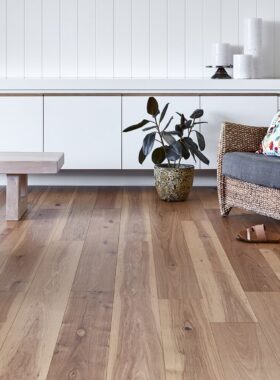 Natural Elk Falls Landscape Jpeg