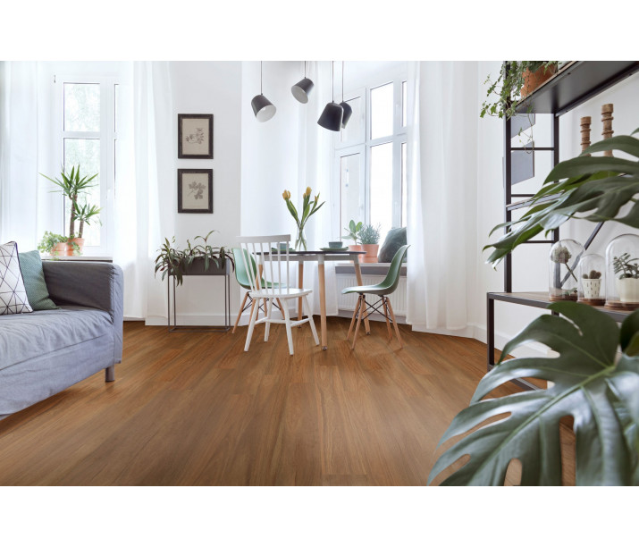 Northern Blue Gum Scaled 1.jpeg