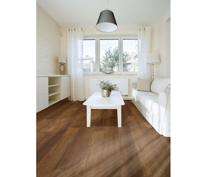 Southern Spotted Gum Scaled 1.jpeg