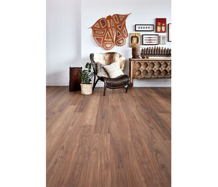 Spotted Gum Krono.jpg