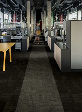 Transitions 3 Sandbank Acacia 1.jpg