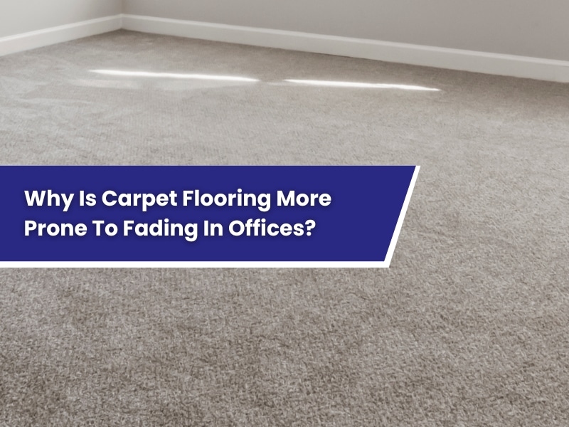 Why Is Carpet Flooring More Prone To Fading In Offices?