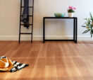 Aspire Photo 6.jpg