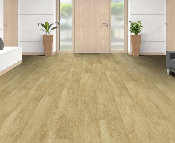 Vinyl Flooring 1
