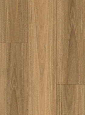 OP105 NSW Spotted Gum PLUS