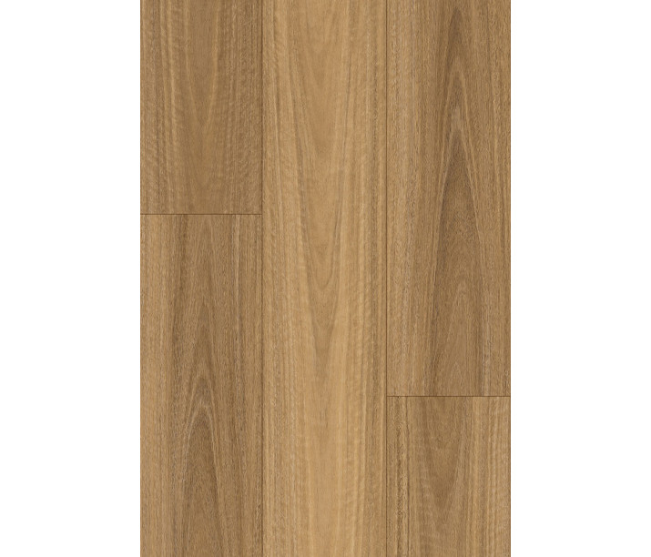OP105 NSW Spotted Gum PLUS
