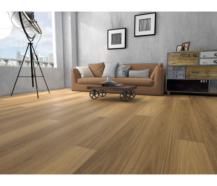 OP105 NSW Spotted Gum PLUS