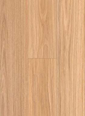 OP106 NSW Blackbutt PLUS