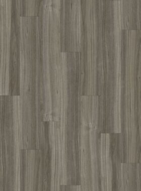 Queensland Silver Ash CP8610