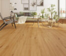 Blackbutt
