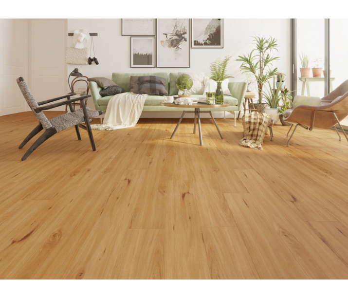 Blackbutt