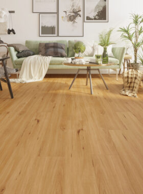 Blackbutt