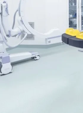 Palettone SD