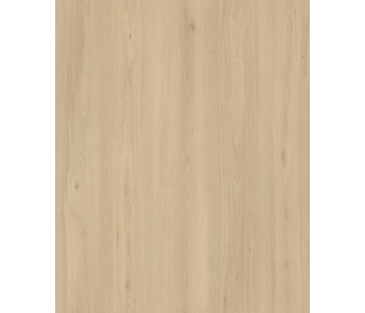 Raw Oak 1.5m