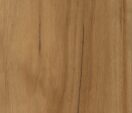 Blackbutt