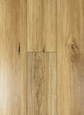 Blackbutt