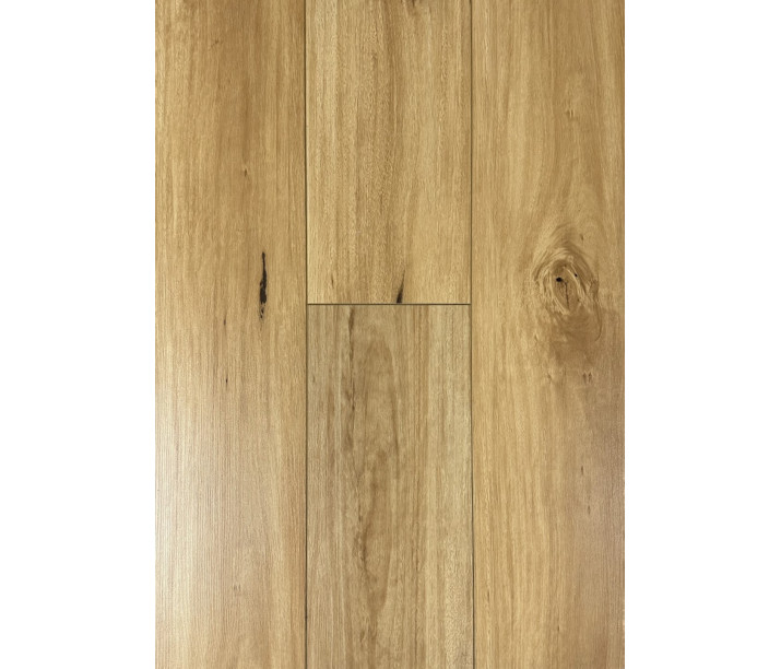 Blackbutt