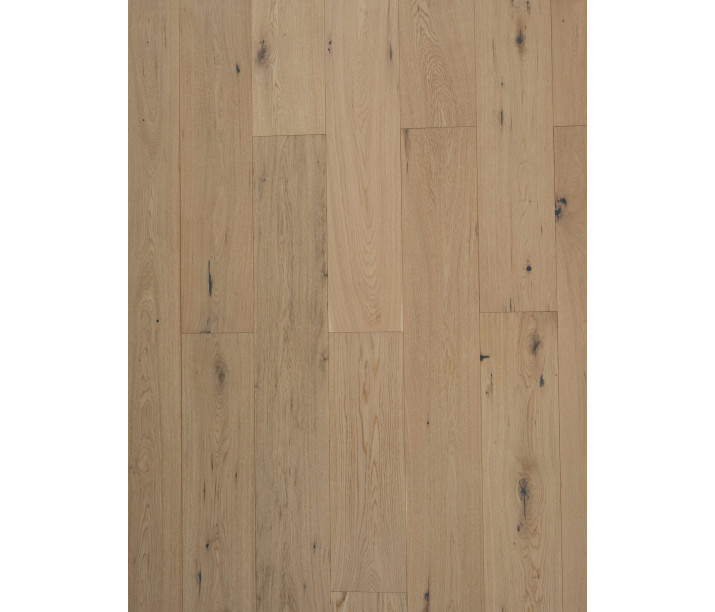 Beach Oak