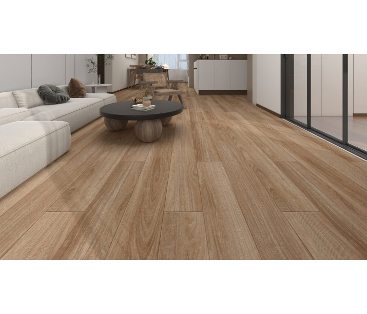 Coastal Blackbutt 1.5m