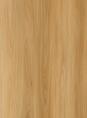 Coastal Blackbutt