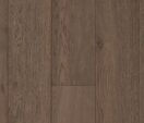 Cuban Oak