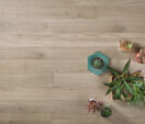Grey Wood