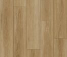 New Zealand Blackbutt
