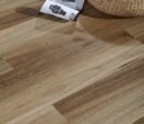Spotted Gum