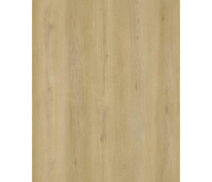 Latte Oak 1.5m