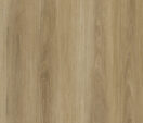 New Zealand Blackbutt