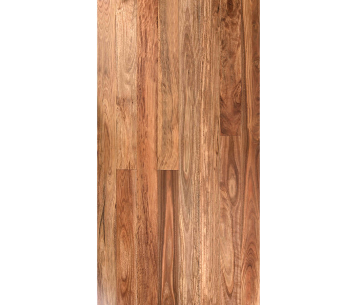 Pacific Spotted Gum