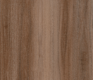 QLD Spotted Gum