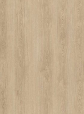Sandy Oak 1.5m