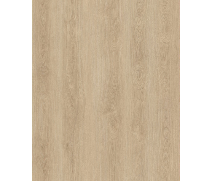 Sandy Oak 1.5m