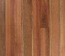 Spotted Gum