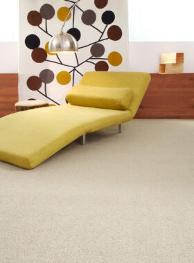 Whimsical Twist (NEW) / Broadwater