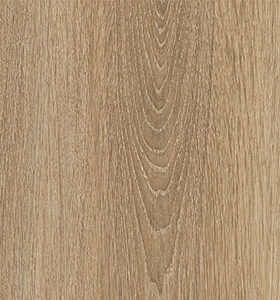 Aquila Wood Acoustic